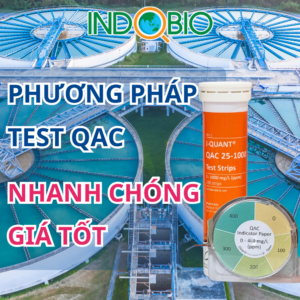 Phương pháp test QAC nhanh chóng
