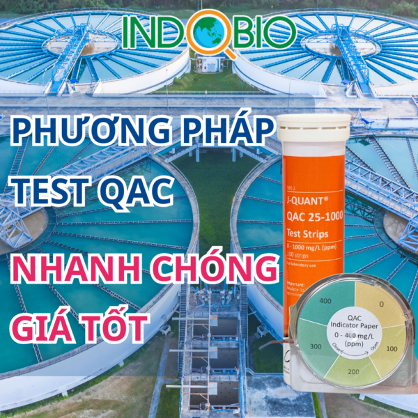 Phương pháp test QAC nhanh chóng