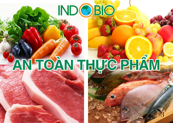 Test nhanh an toàn thực phẩm