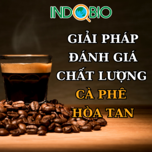 Bí quyết đánh giá chất lượng cà phê hòa tan: TDS, độ ngọt và nhiệt độ