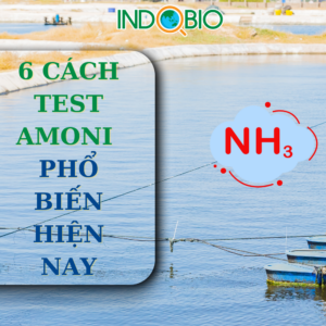 6 Cách test NH4 Phổ Biến Hiện Nay